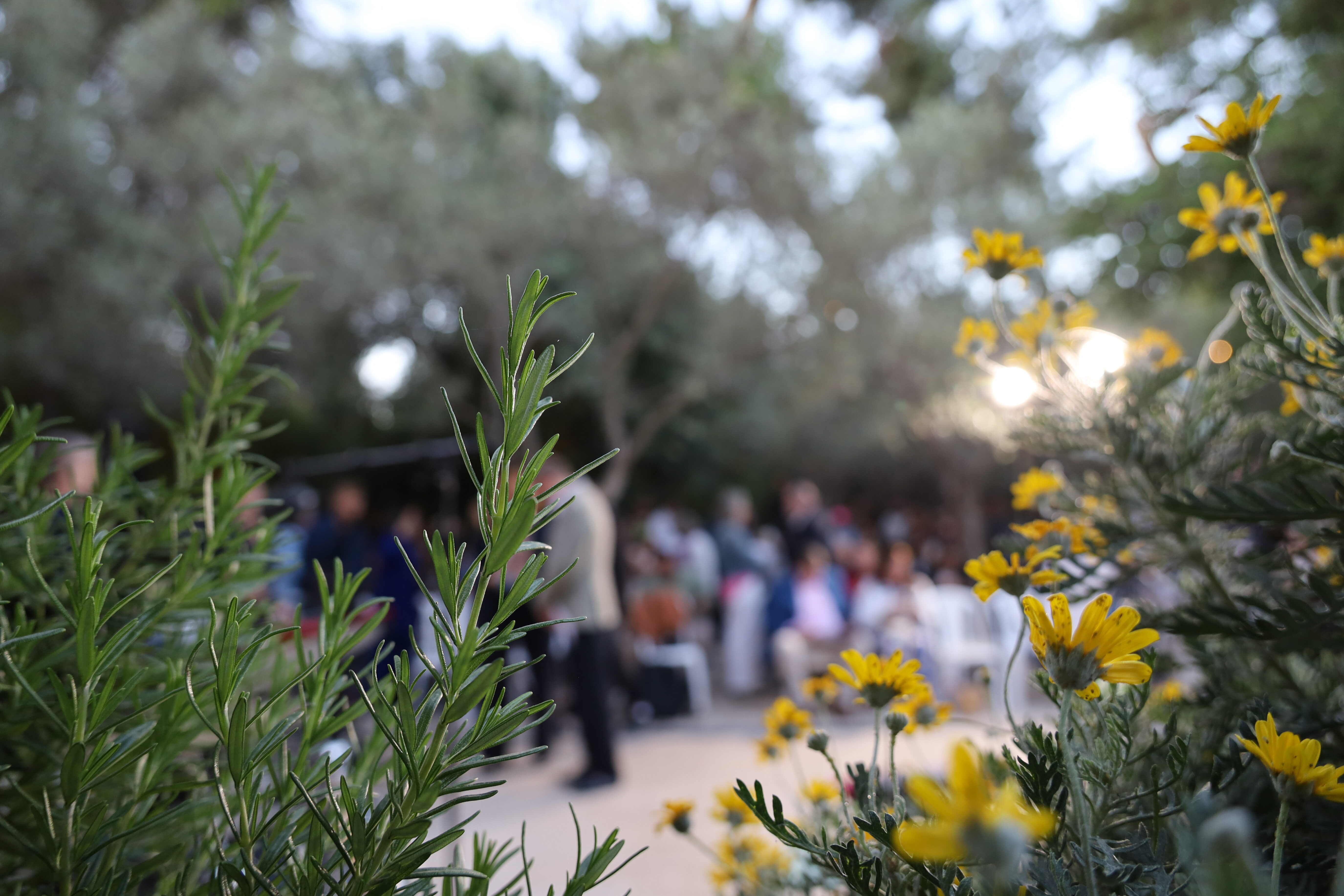 What our visitors say about the Garden